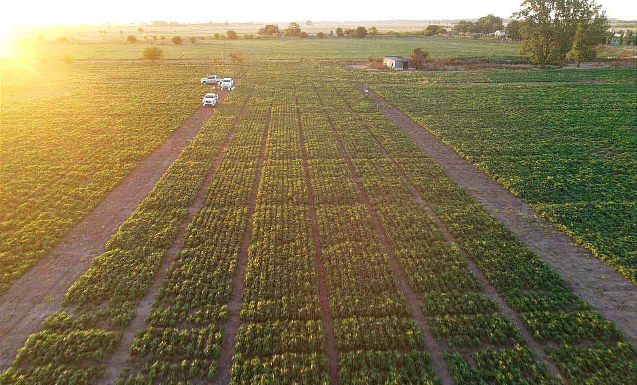 Indecar suma a Stine y a Bioceres a su proyecto de Centro Agrotecnológico